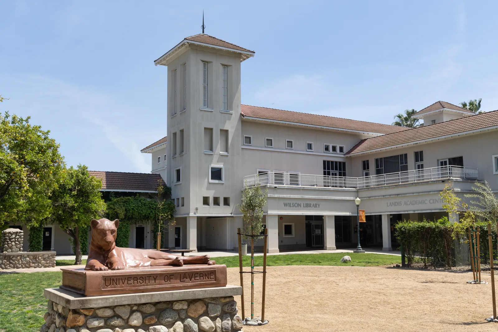 Universidade