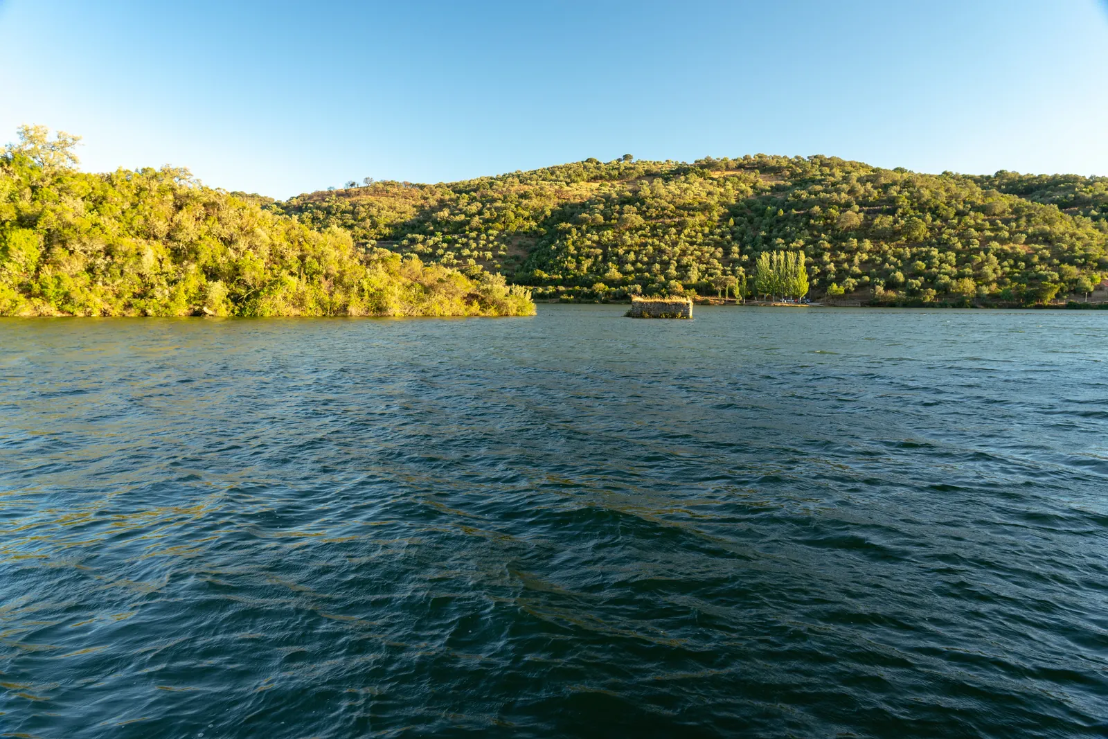 Natureza