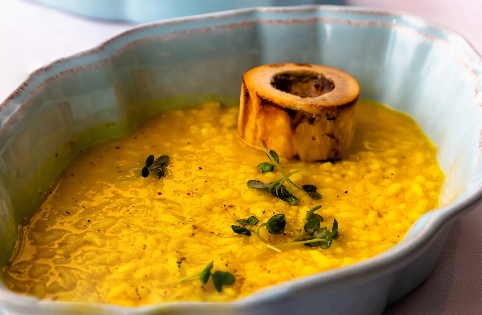 Gastronomia