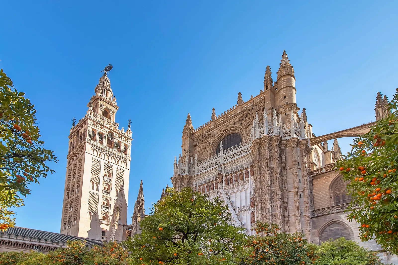 Catedral