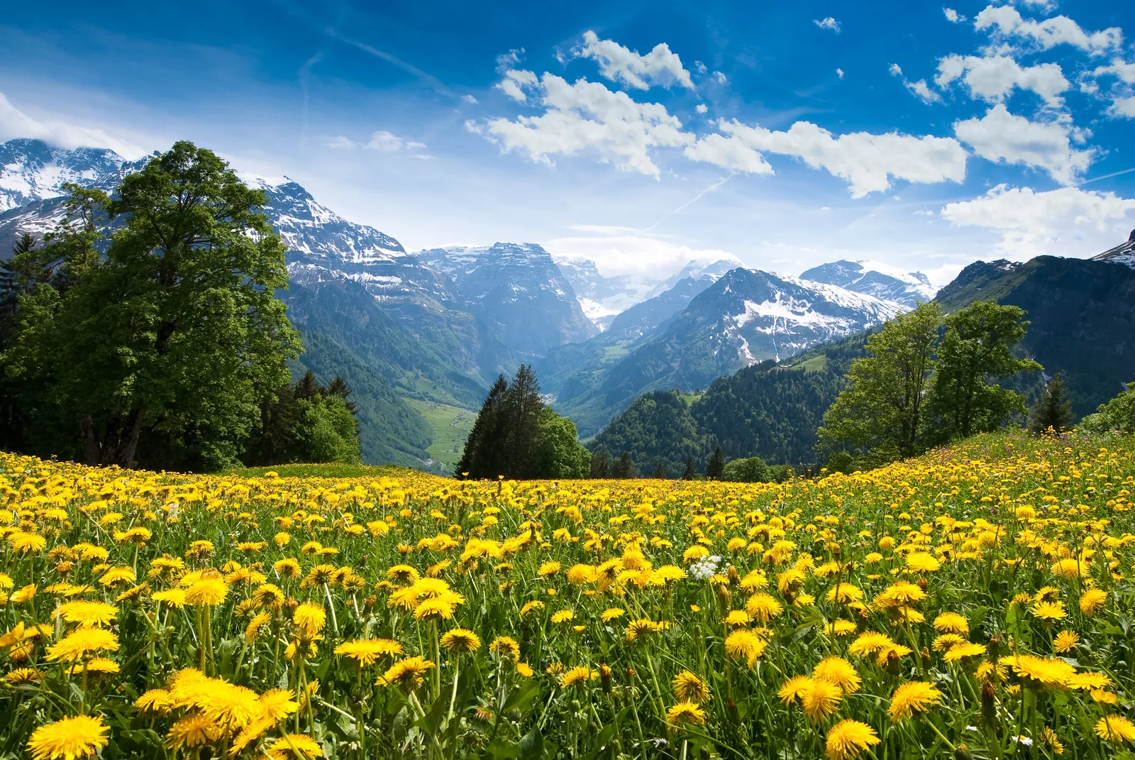 Natureza
