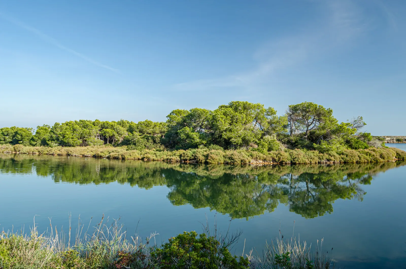 Natureza